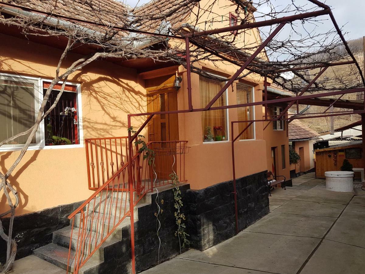 Casa De Oaspeti Morii 22 Malancrav 외부 사진